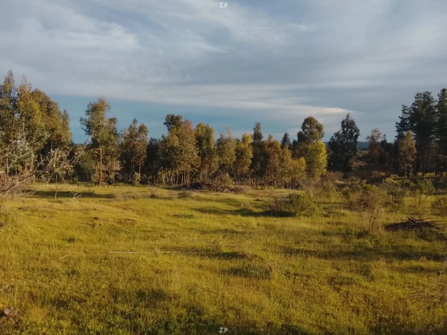 Venta de parcela 5391m², cercado, luz,agua y rol propio