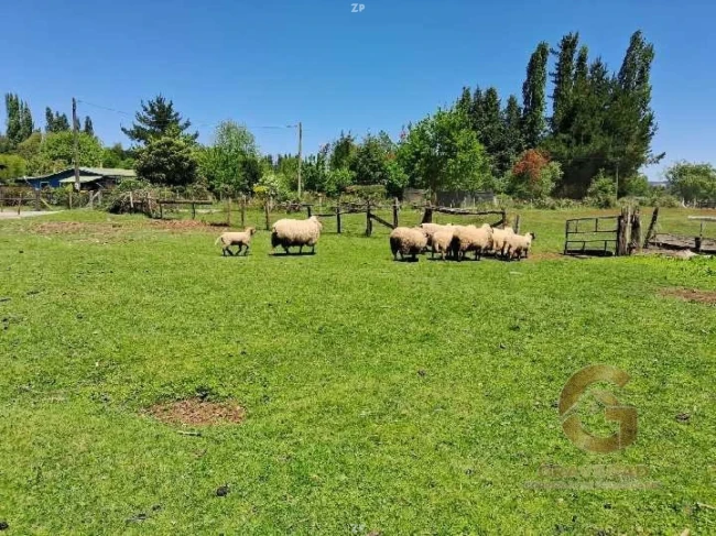 CAMPO 8,5HA - INVERSIÓN TURÍSTICA, AGROPECUARIA y DE PARCELACIÓN