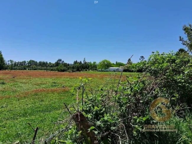 CAMPO 8,5HA - INVERSIÓN TURÍSTICA, AGROPECUARIA y DE PARCELACIÓN