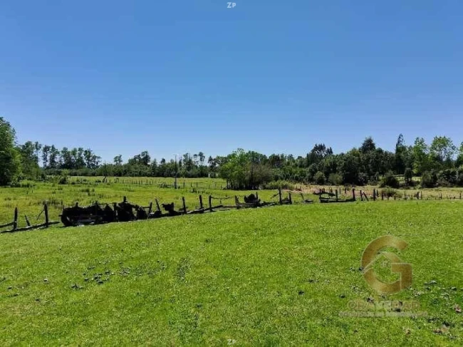 CAMPO 8,5HA - INVERSIÓN TURÍSTICA, AGROPECUARIA y DE PARCELACIÓN
