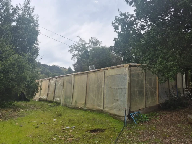 PARCELA DE 1 HECTÁREA – LA PUNTA, MOSTAZAL 3 CASAS