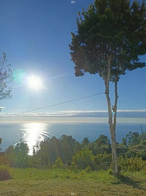🏡Casa con vista al mar y amplio terreno en los pellines bajo