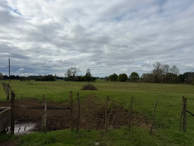 Campo agrícola-ganadero 30,35 ha en Chacayal, San Pablo (Los Lagos)