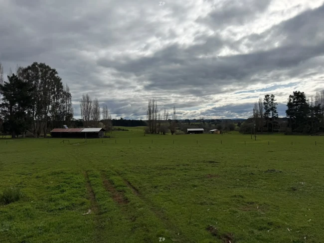Campo agrícola-ganadero 30,35 ha en Chacayal, San Pablo (Los Lagos)