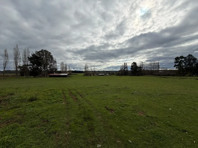 Campo agrícola-ganadero 30,35 ha en Chacayal, San Pablo (Los Lagos)