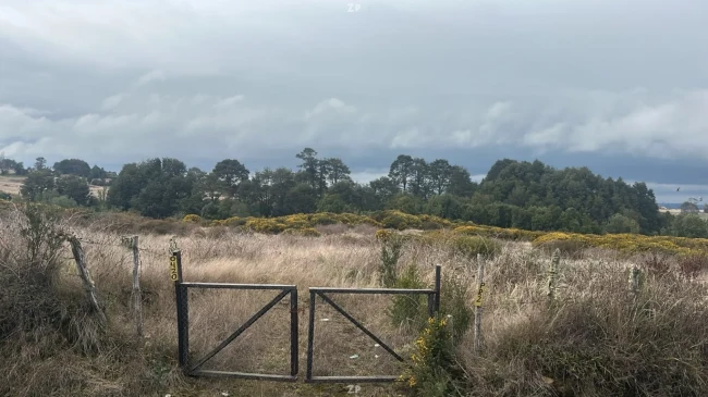 🌿 OPORTUNIDAD: PARCELA DE 5.000 M² EN QUINCHED, CHILOÉ