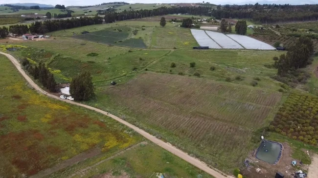 SE VENDE PARCELA DE 10.000 M² EN SANTA BLANCA, ANTES DE LA ENTRADA A EL CONVENTO