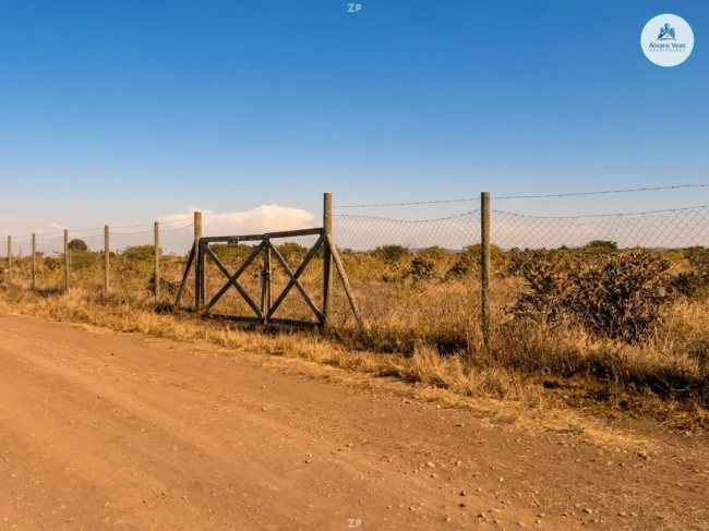 Parcela Venta 5.000 M² Rol propio El Convento
