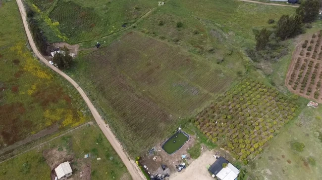 SE VENDE PARCELA DE 10.000 M² EN SANTA BLANCA, ANTES DE LA ENTRADA A EL CONVENTO