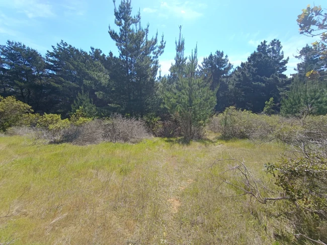 Vendo terreno Laguna Verde, Valparaíso, 5.000 m2 con ROL