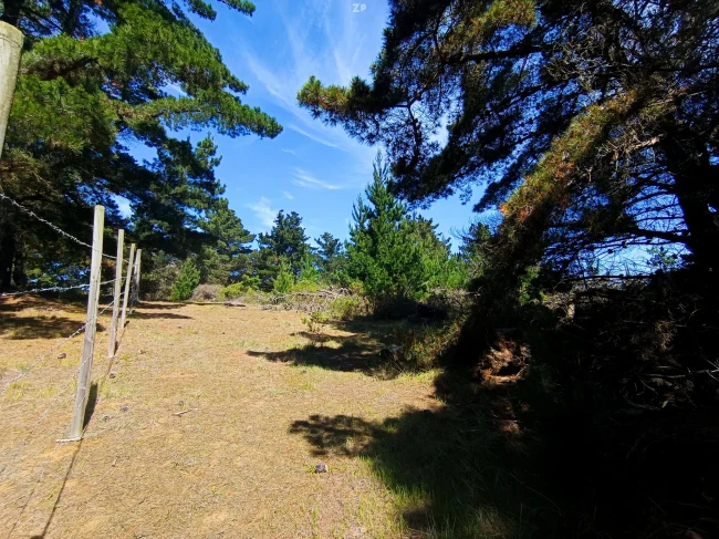 Vendo terreno Laguna Verde, Valparaíso, 5.000 m2 con ROL