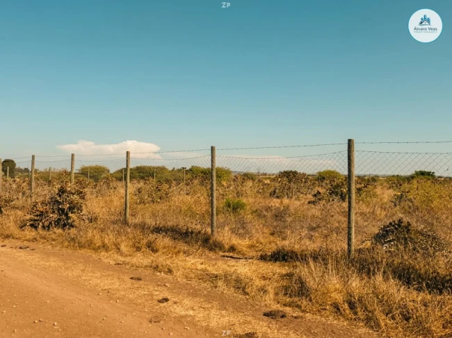 Parcela Venta 5.000 M² Rol propio El Convento
