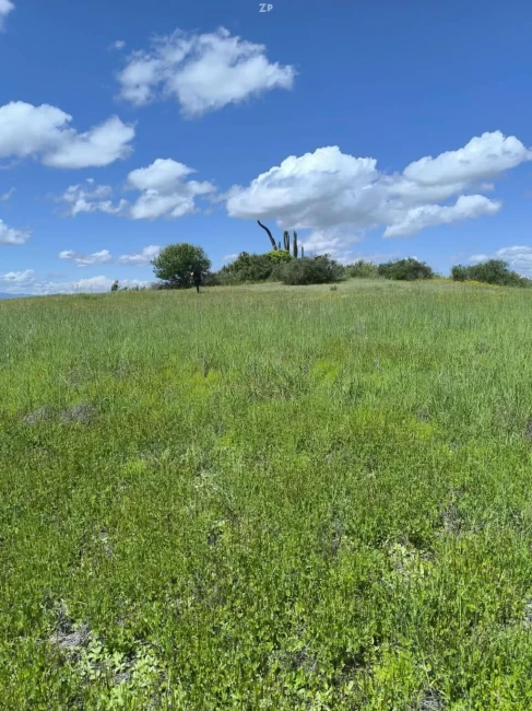 Parcelas de 5.000 m² con rol propio en Marchigüe desde $15.000.000
