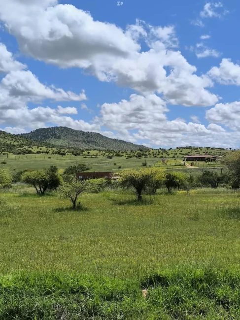 Parcelas de 5.000 m² con rol propio en Marchigüe desde $15.000.000