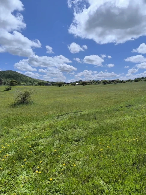 Parcelas de 5.000 m² con rol propio en Marchigüe desde $15.000.000