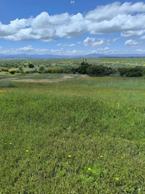 Parcelas de 5.000 m² con rol propio en Marchigüe desde $15.000.000