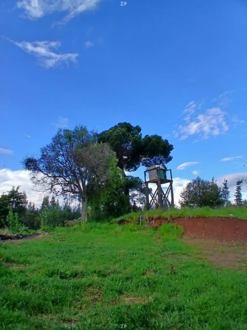 Parcela hermosa en quebrada de san juan 