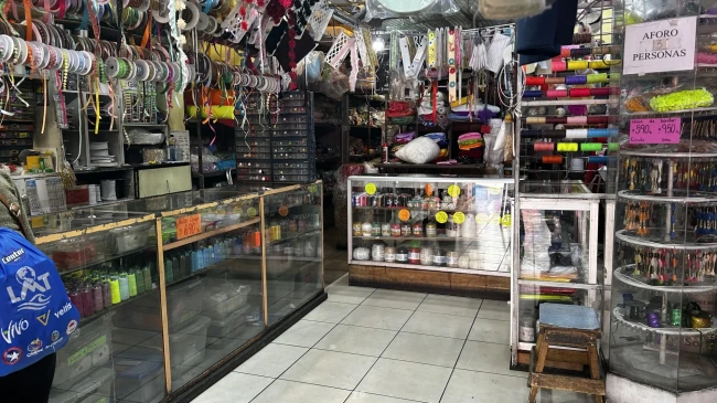 LOCAL COMERCIAL + PROPIEDAD 