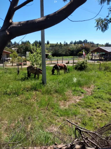 Venta casa , terreno 5000 mts
