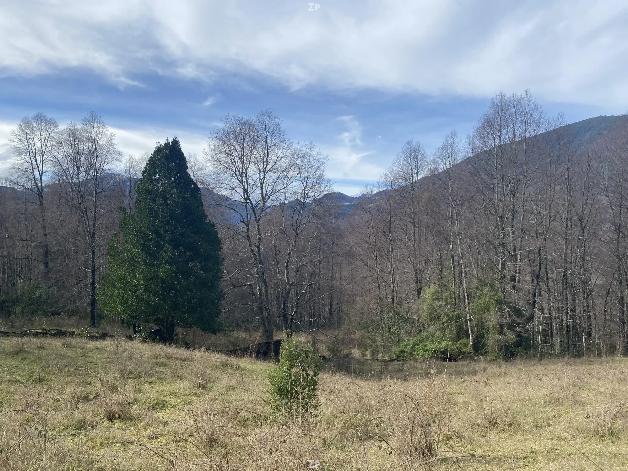 Proyecto venta de parcelas Caburgua y Paillaco en La Barda, Pucón
