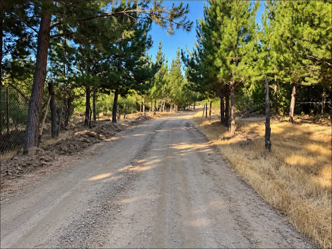 Parcelas en Venta | Bosques de Chépica – Región de O'Higgins