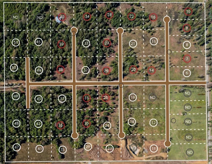 Plano Modelo 1